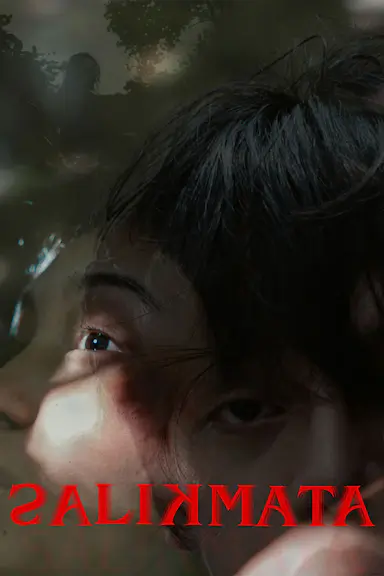 孽瞳