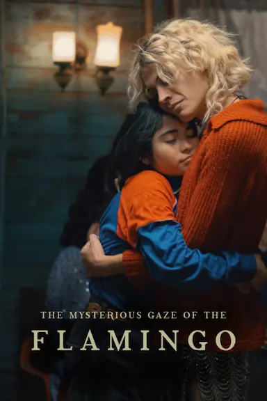 弗拉明戈的神秘眼神