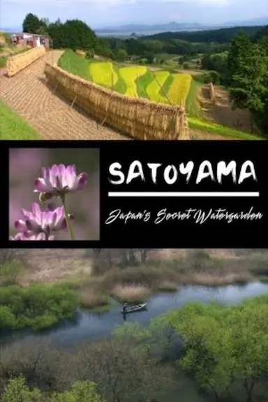映像诗：日本里山神秘水上花园