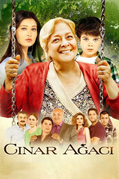 Çinar agaci